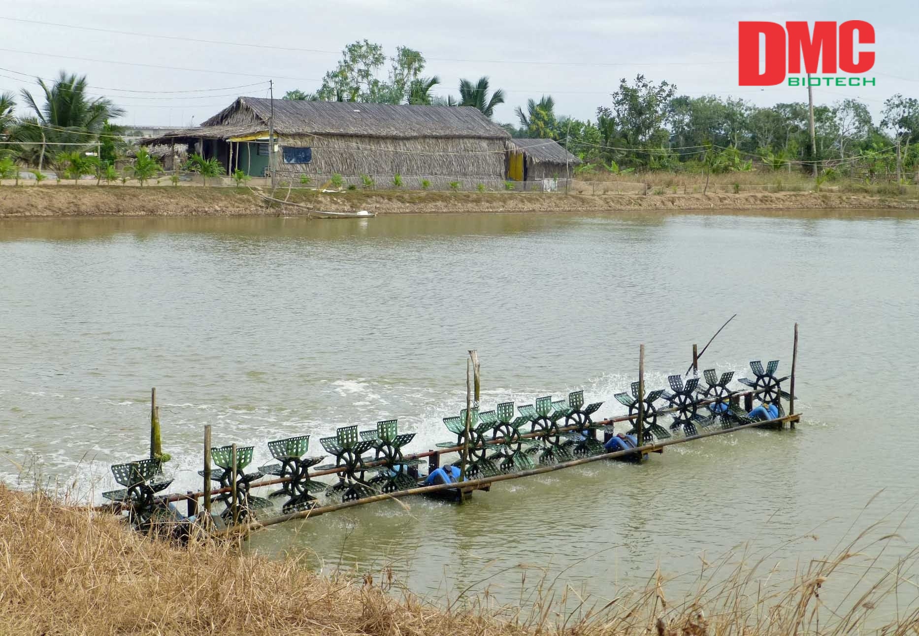 tcca 90 nhật bản 07