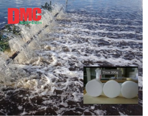 tcca dạng bột 07