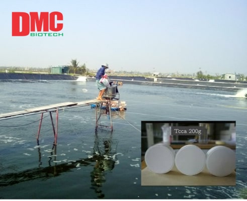 tcca dạng viên 03