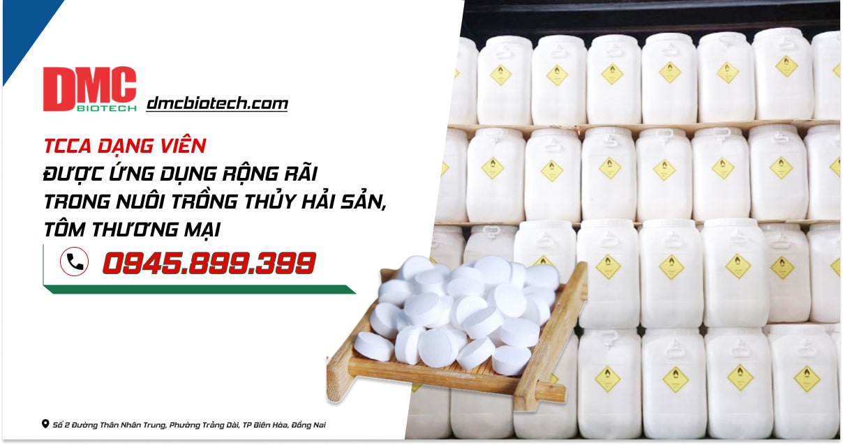 Giấm