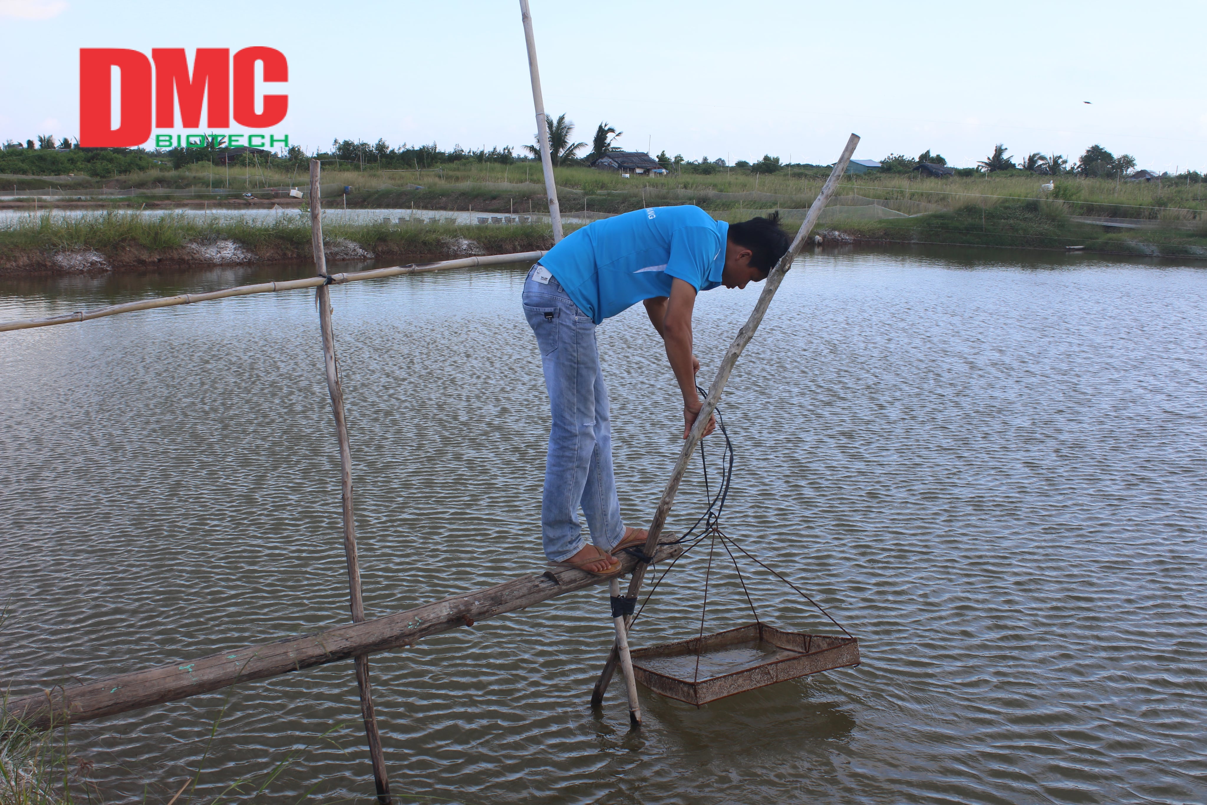 TCCA dùng trong nuôi trồng thủy sản - 02