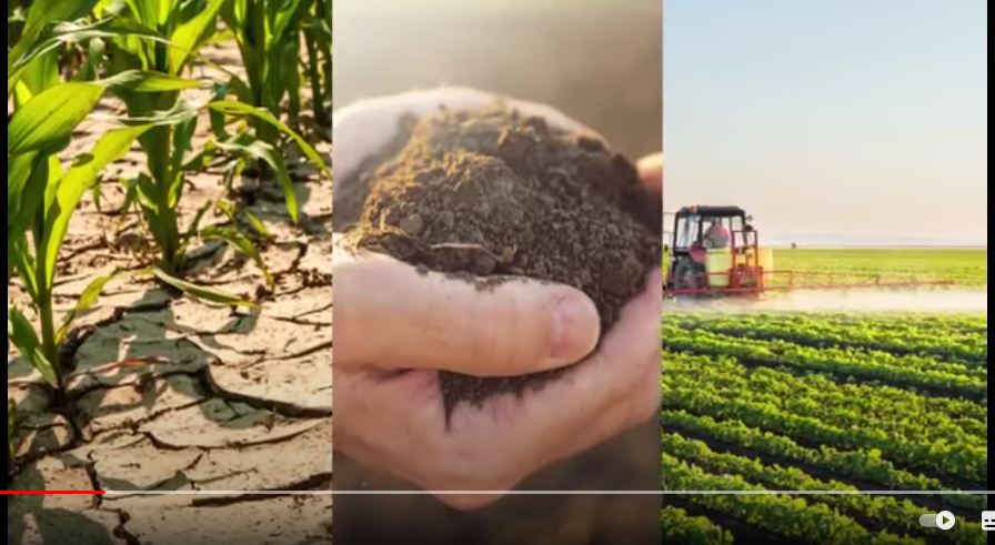 Dmcbiotech.com - Xuất nhập khẩu hóa chất Công Nghiệp, Nông Nghiệp 